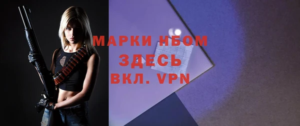 гашик Лихославль